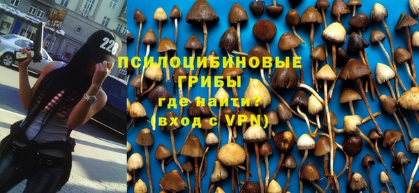 гидропоника Нефтегорск