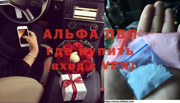 гидра Артём