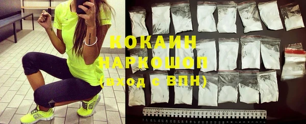 дживик Павлово
