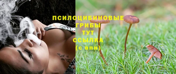 амфетамин Новодвинск