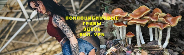 ГАЛЛЮЦИНОГЕННЫЕ ГРИБЫ Нязепетровск