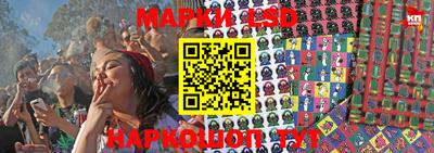 стаф Бузулук