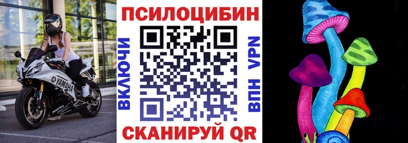 Псилоцибиновые грибы GOLDEN TEACHER магазин продажи Дербент