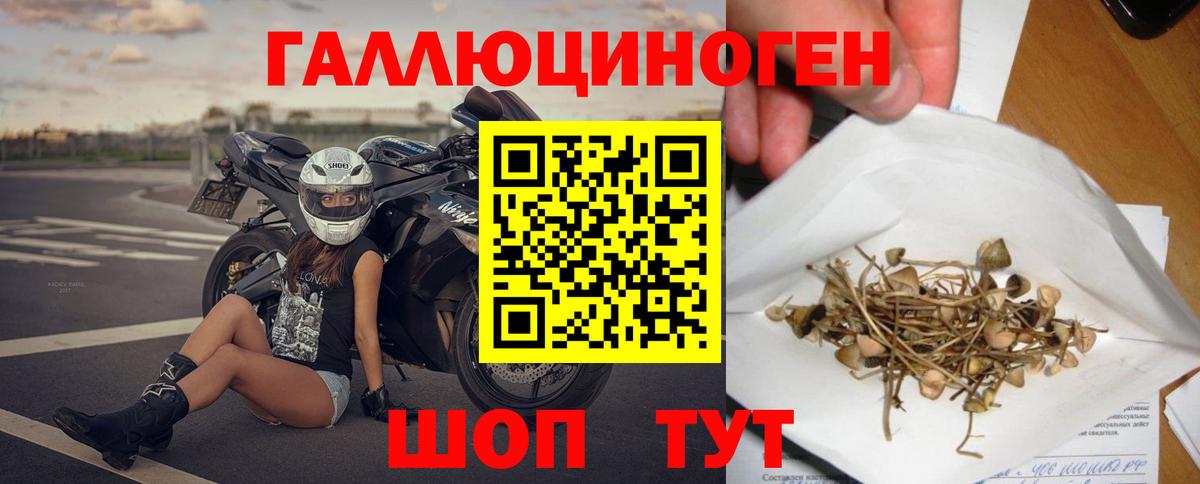 Галлюциногенные грибы мухоморы Дербент