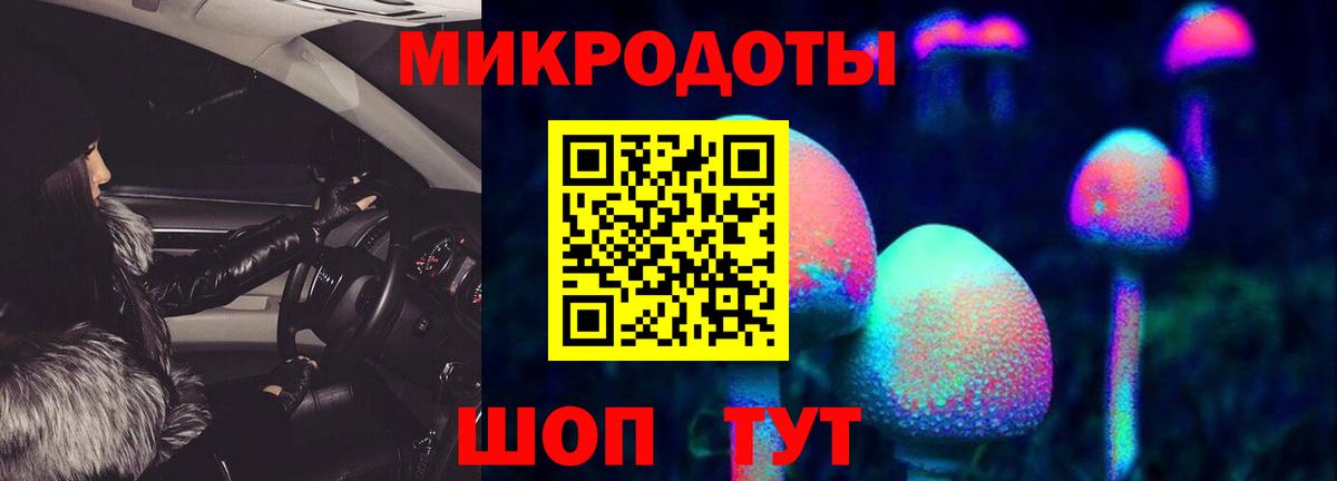 Псилоцибиновые грибы Psilocybe  Вход с VPN  Дербент 