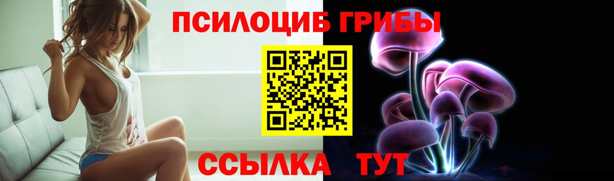 Псилоцибиновые грибы Psilocybine cubensis  Псилоцибиновые грибы Psilocybine cubensis  Дербент 